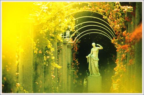 Rosensteinpark Suttgart