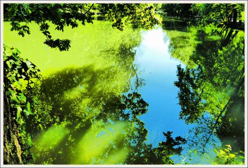 Sommer