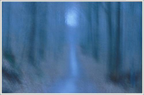 Waldpoesie
